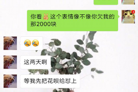 西宁企业清欠服务